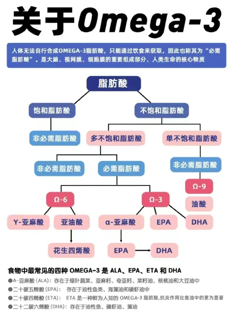 omega-3详细介绍